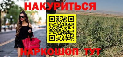 гашик Пыть-Ях