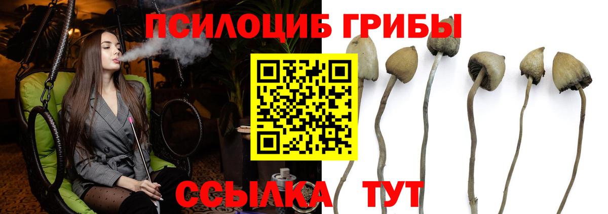 Советский  ГАШ  Cocaine  МЕФ   Вход с VPN  МАРИХУАНА  NBOMe 
